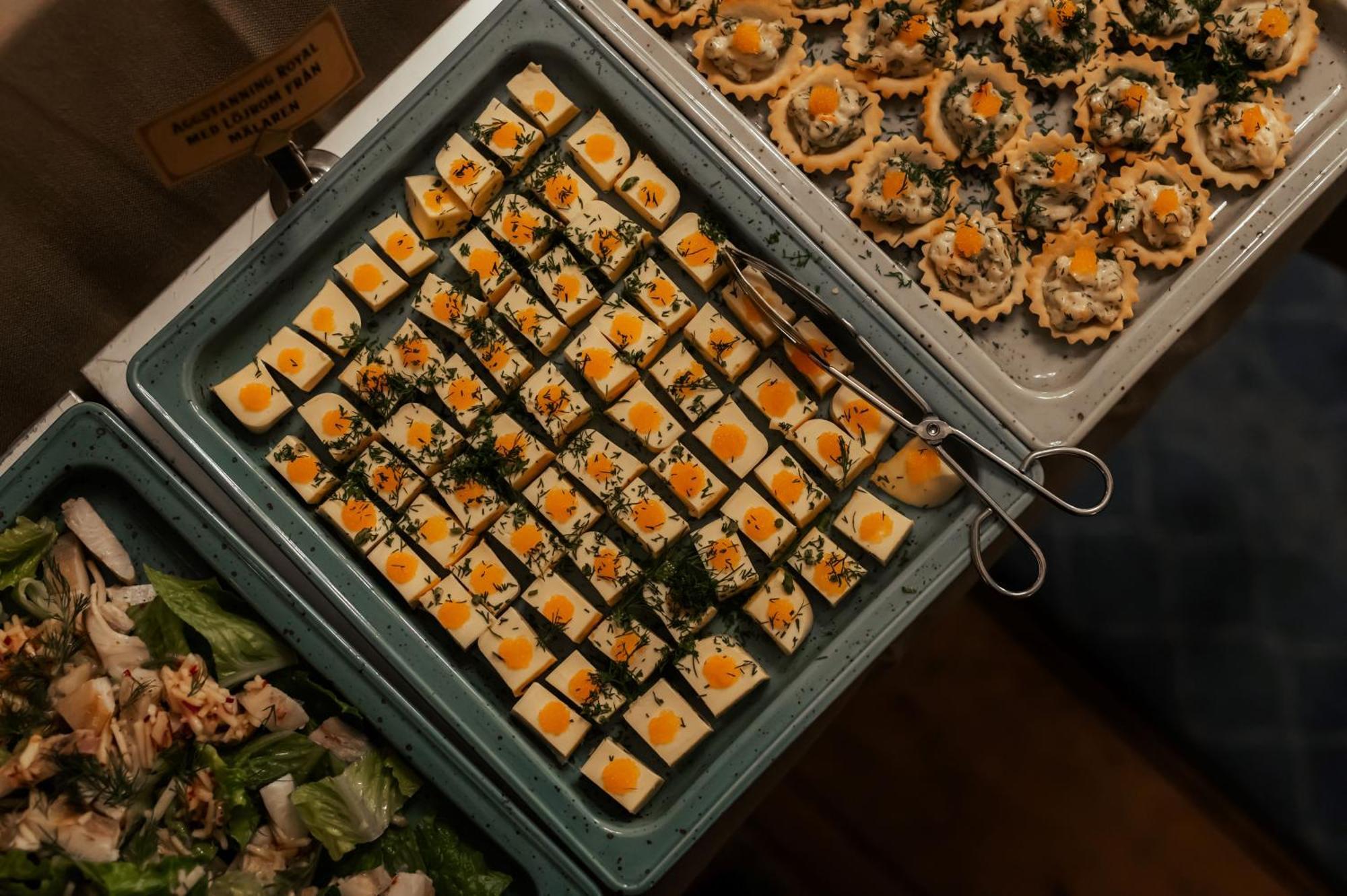 恩科平 Haga Slott酒店 外观 照片